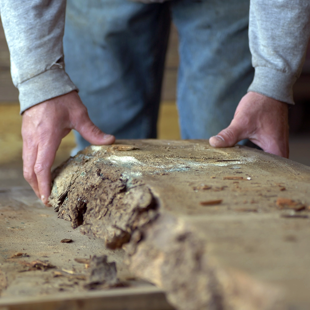 Harvest Custom woodworking man